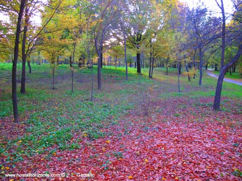 Casa de Campo Otoño Madrid Spain