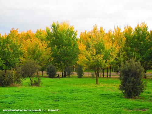 Casa de Campo Otoño Madrid Spain