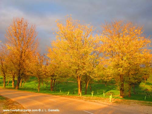 Casa de Campo Otoño Madrid Spain