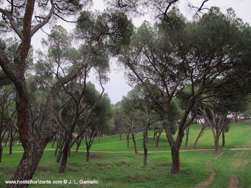 Casa de Campo Invierno Madrid Spain